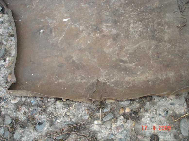 DSC07590_resize.JPG