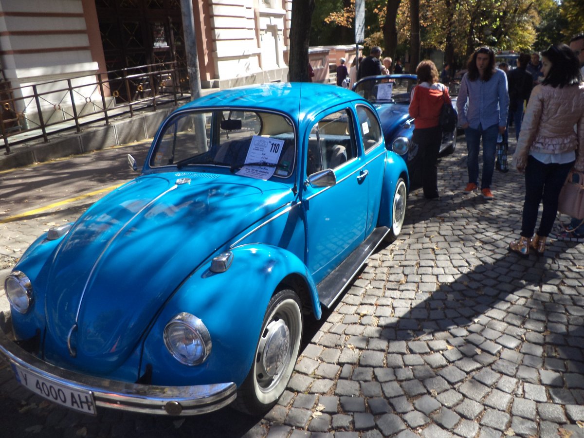 DSC07700.JPG