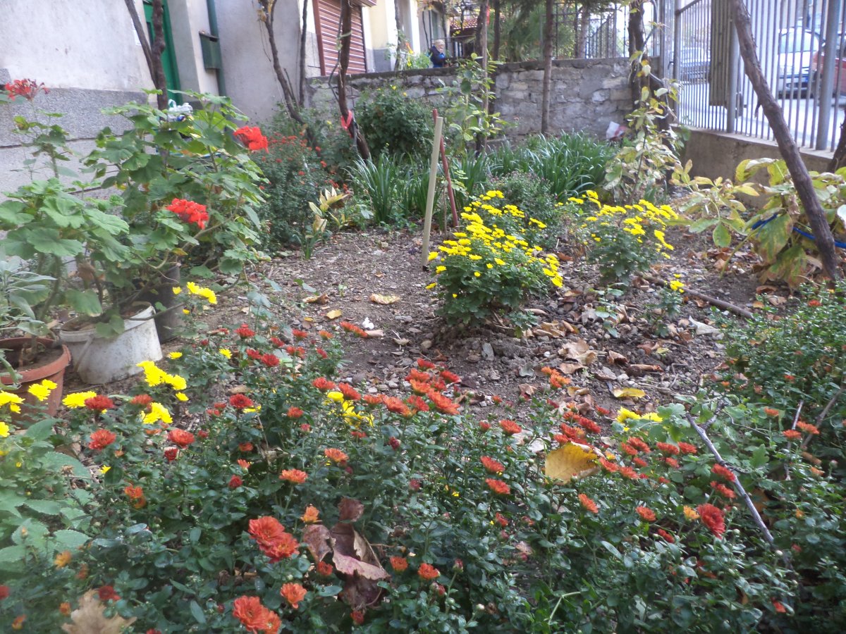 DSC07791.JPG