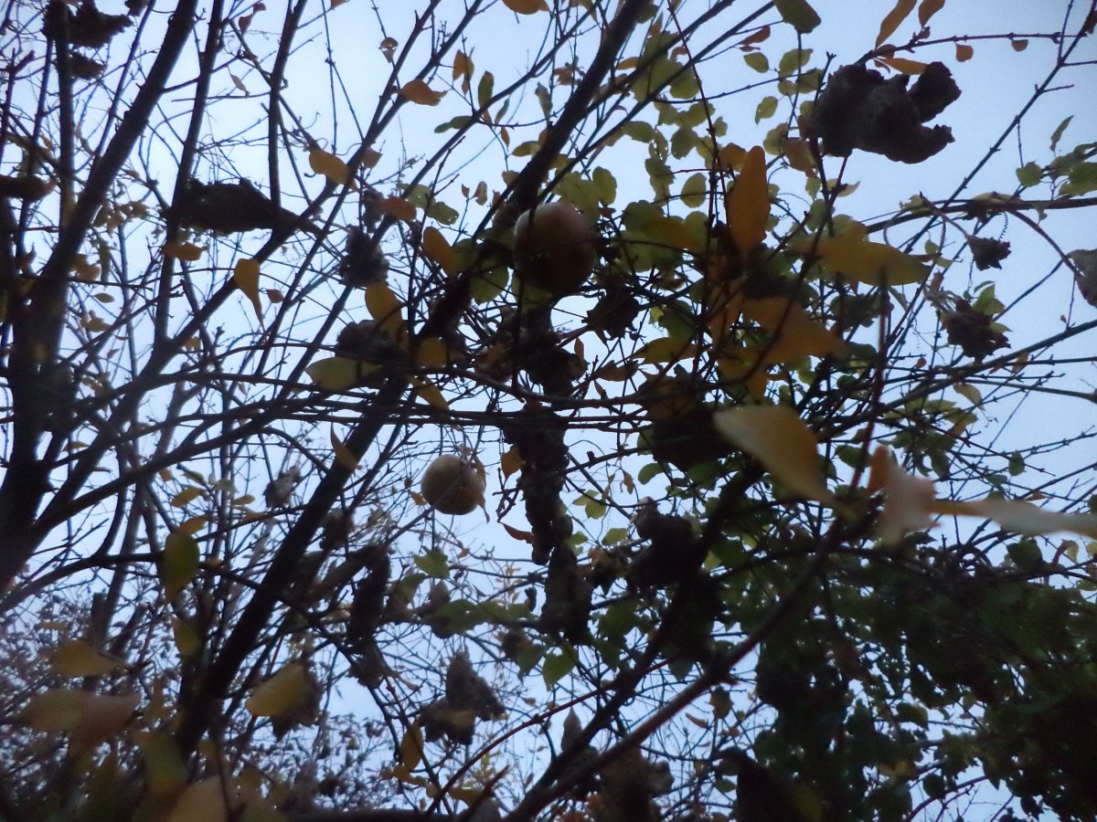 DSC07911.JPG