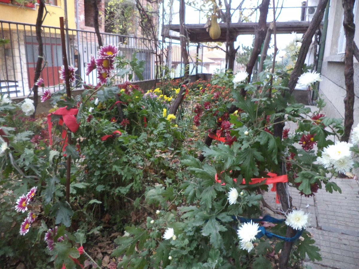 DSC07924.JPG