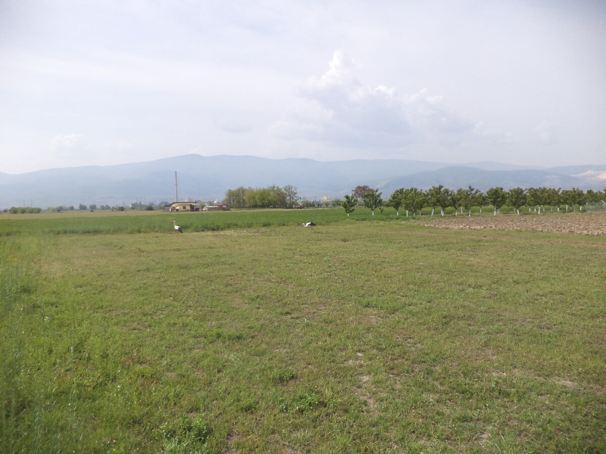 DSC08307.JPG