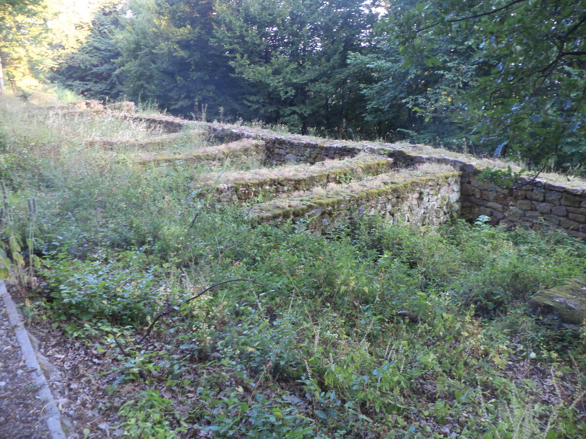 DSC08430.JPG