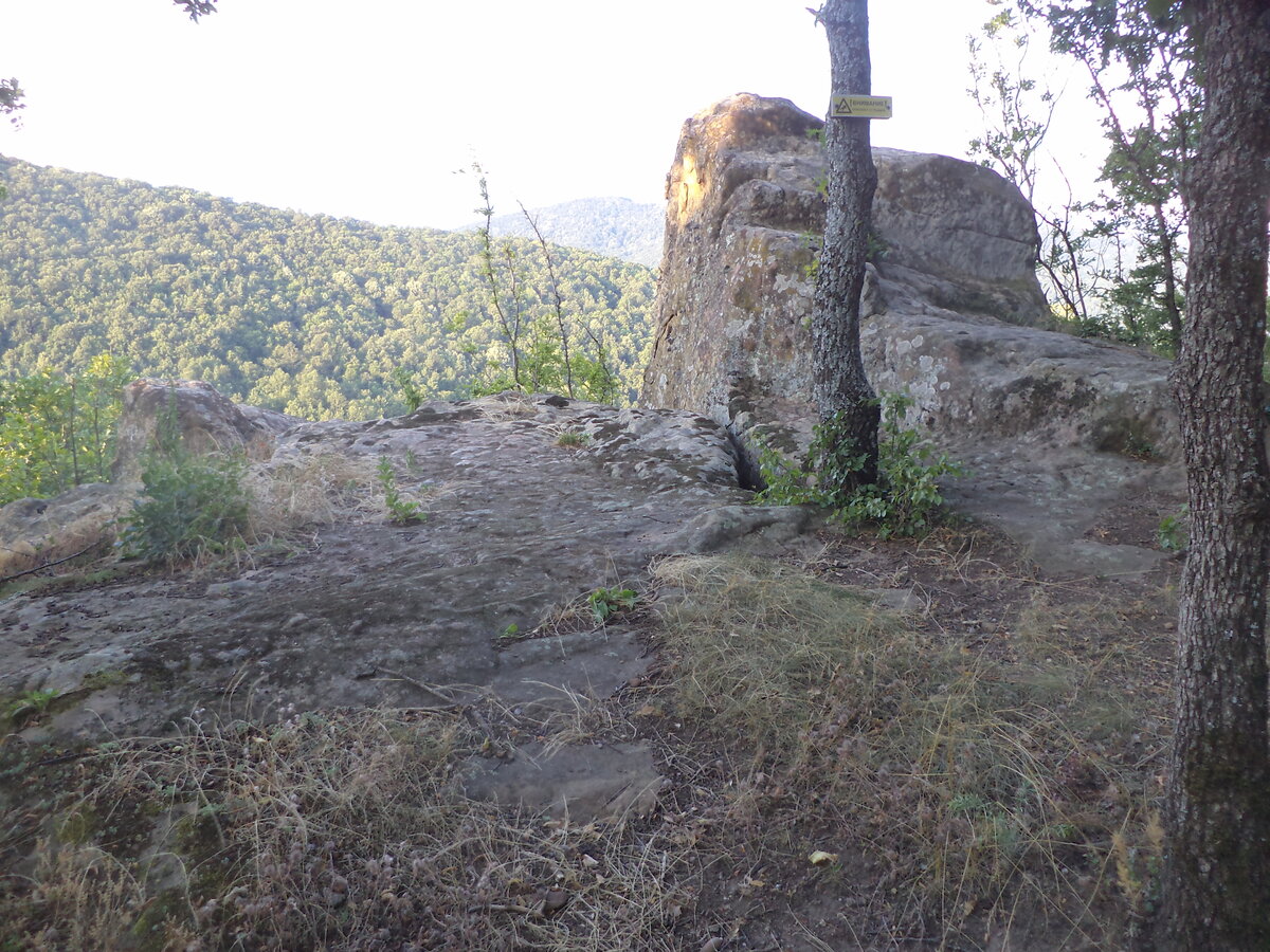 DSC08434.JPG