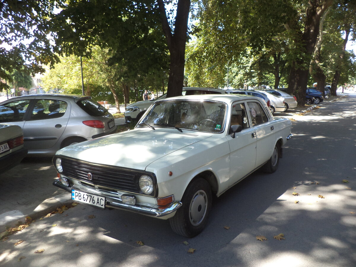 DSC08448.JPG