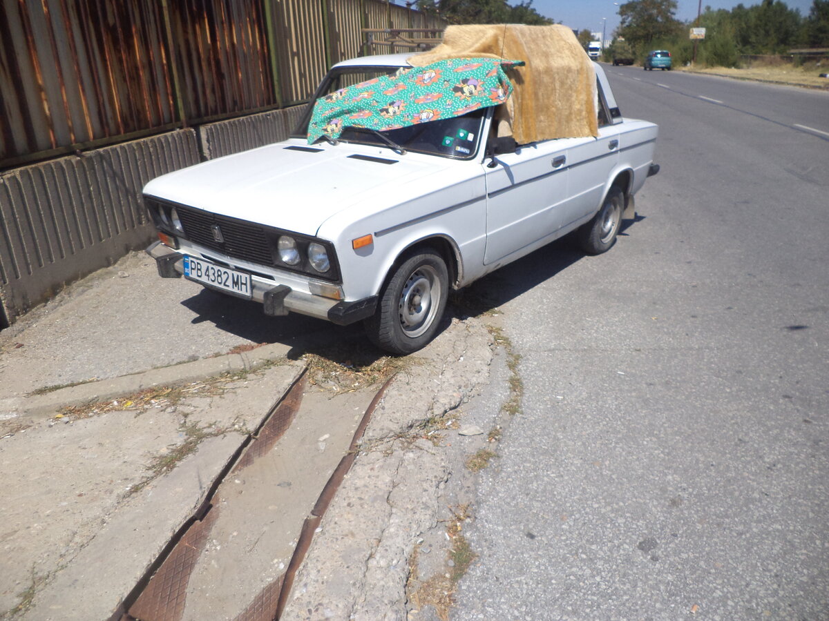 DSC08494.JPG