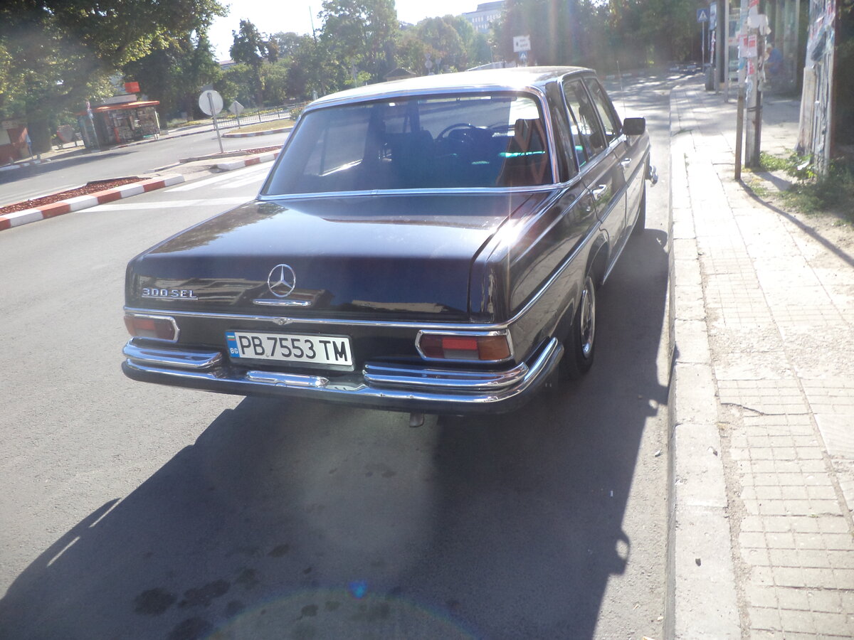 DSC08503.JPG