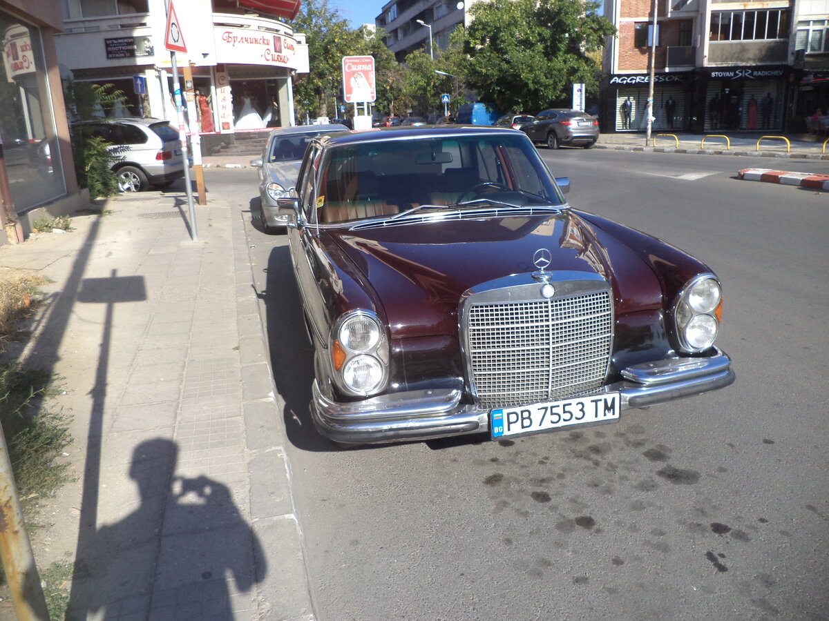 DSC08505.JPG