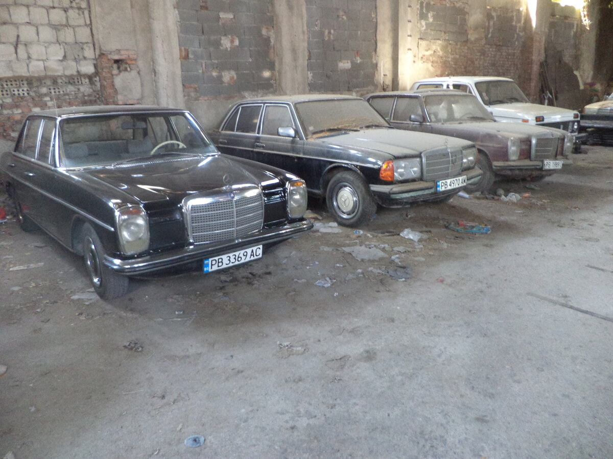 DSC08557.JPG