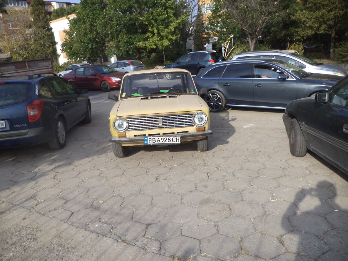 DSC08651.JPG