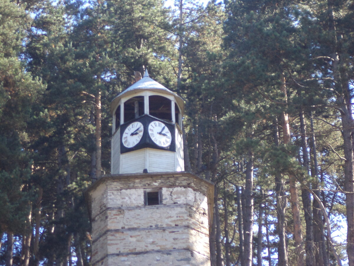 DSC08890.JPG