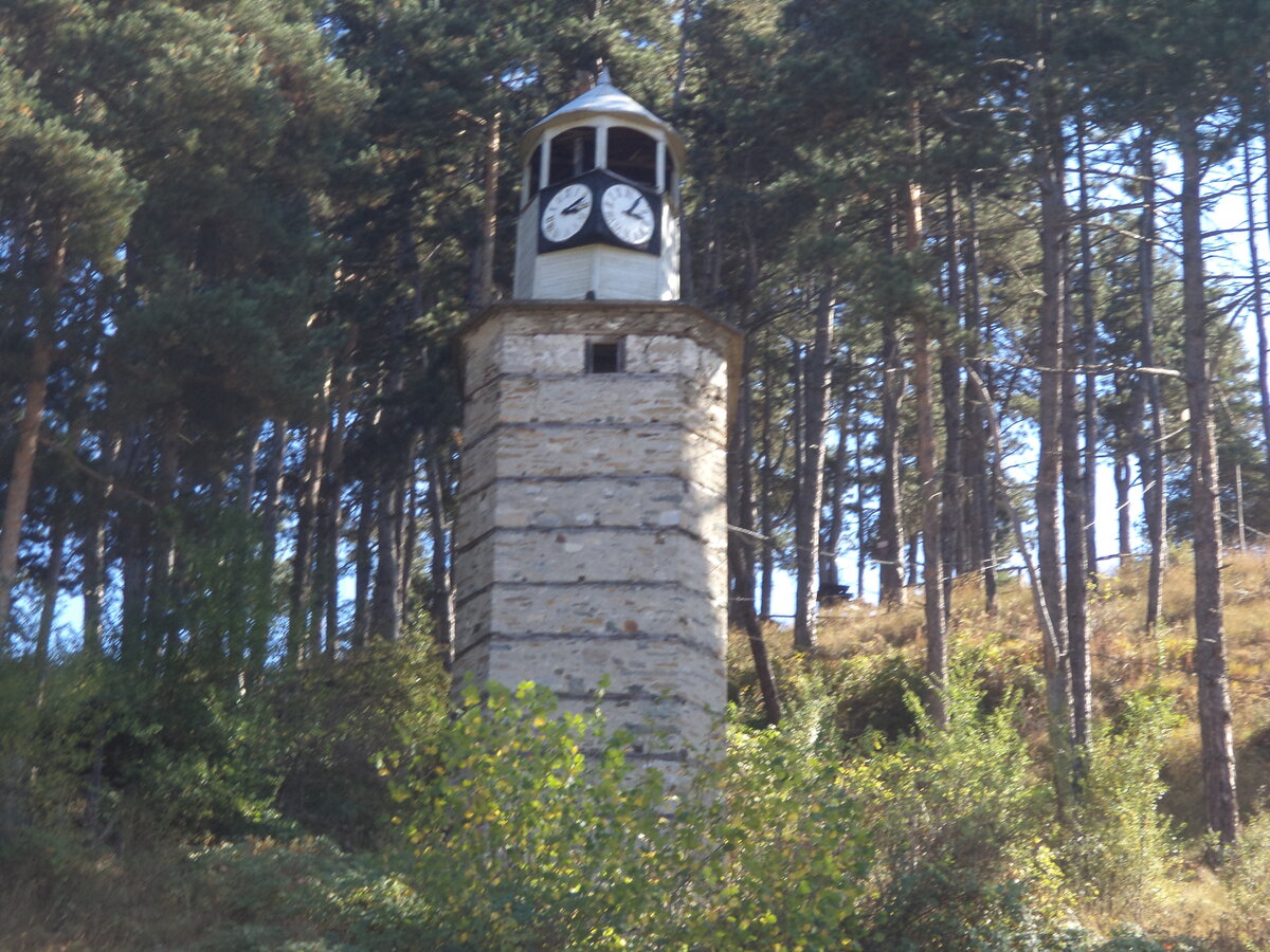 DSC08892.JPG