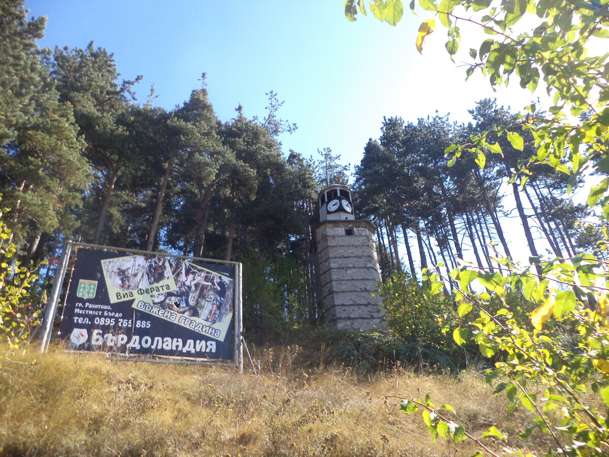 DSC08895.JPG