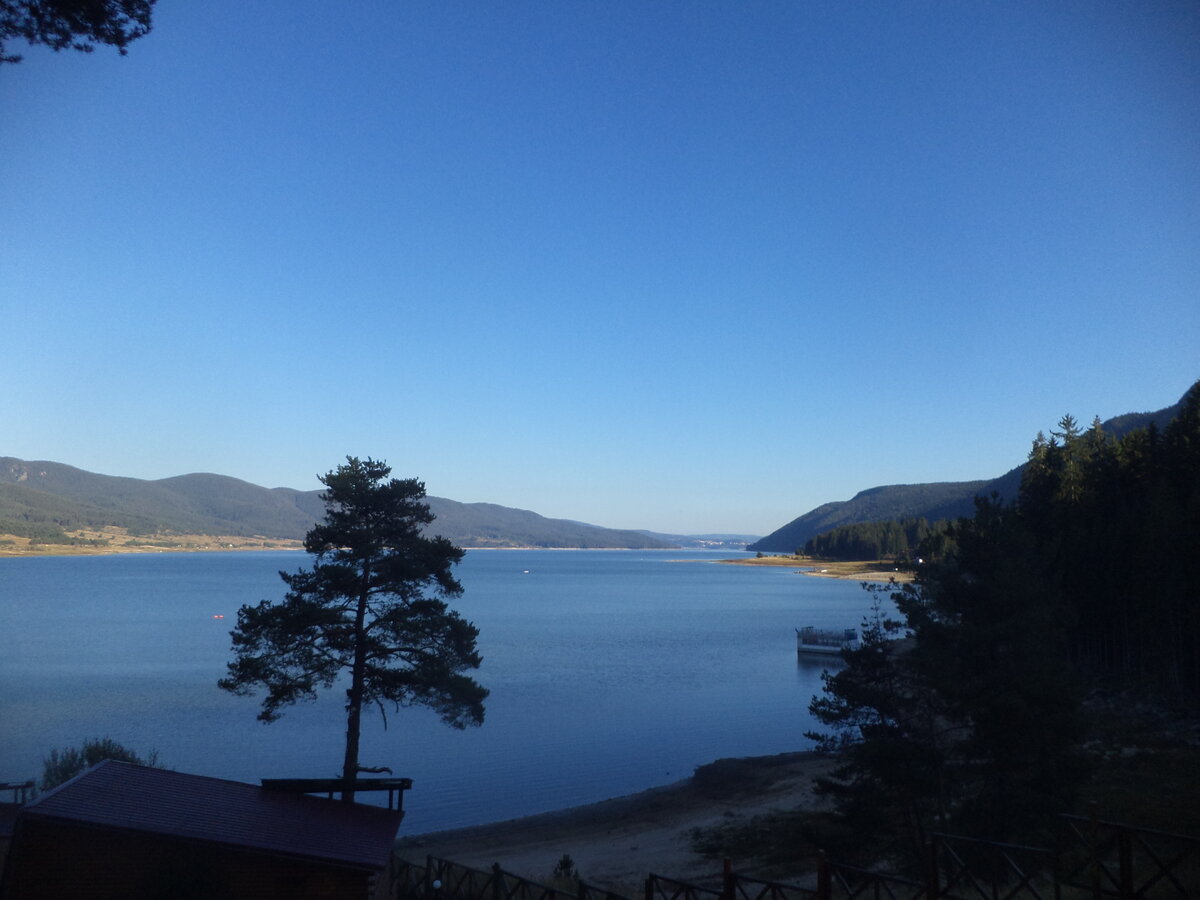 DSC08911.JPG