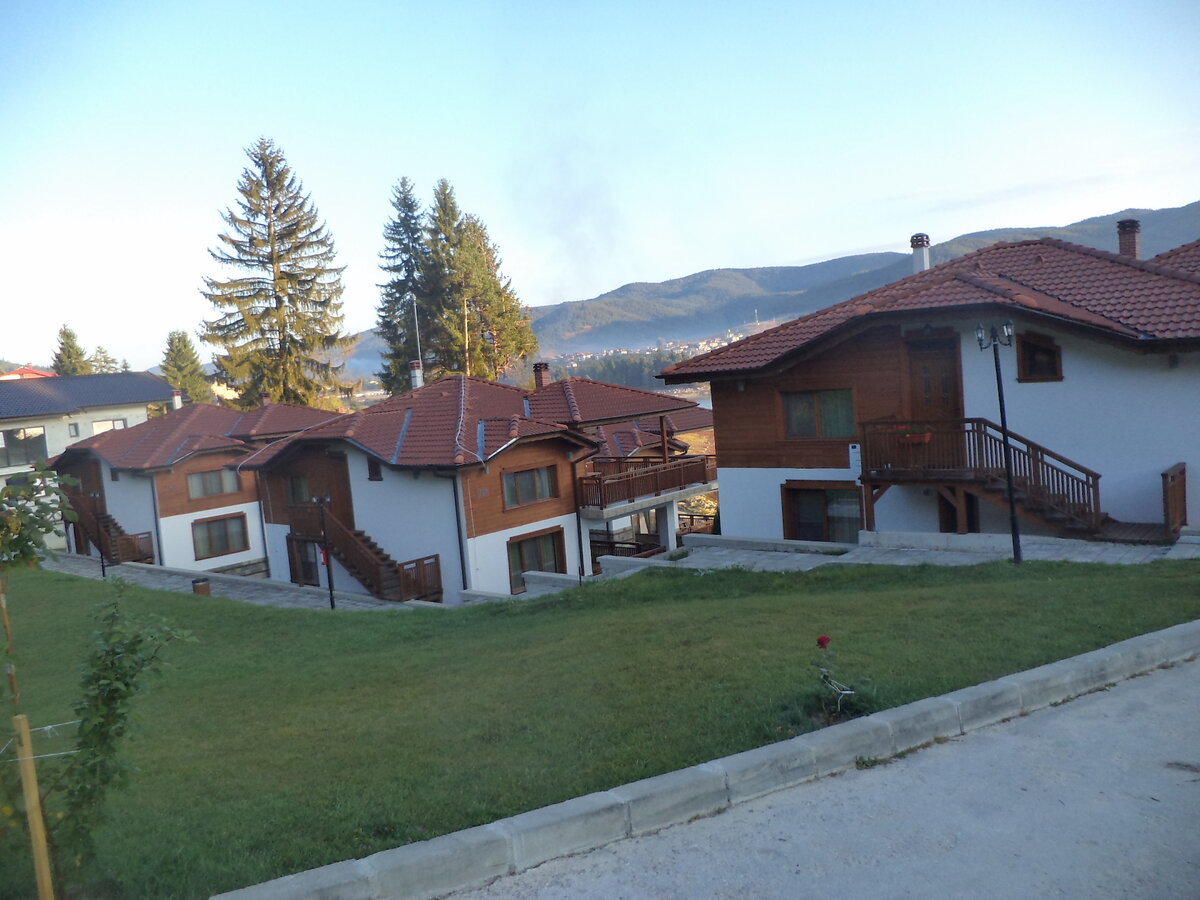 DSC08917.JPG