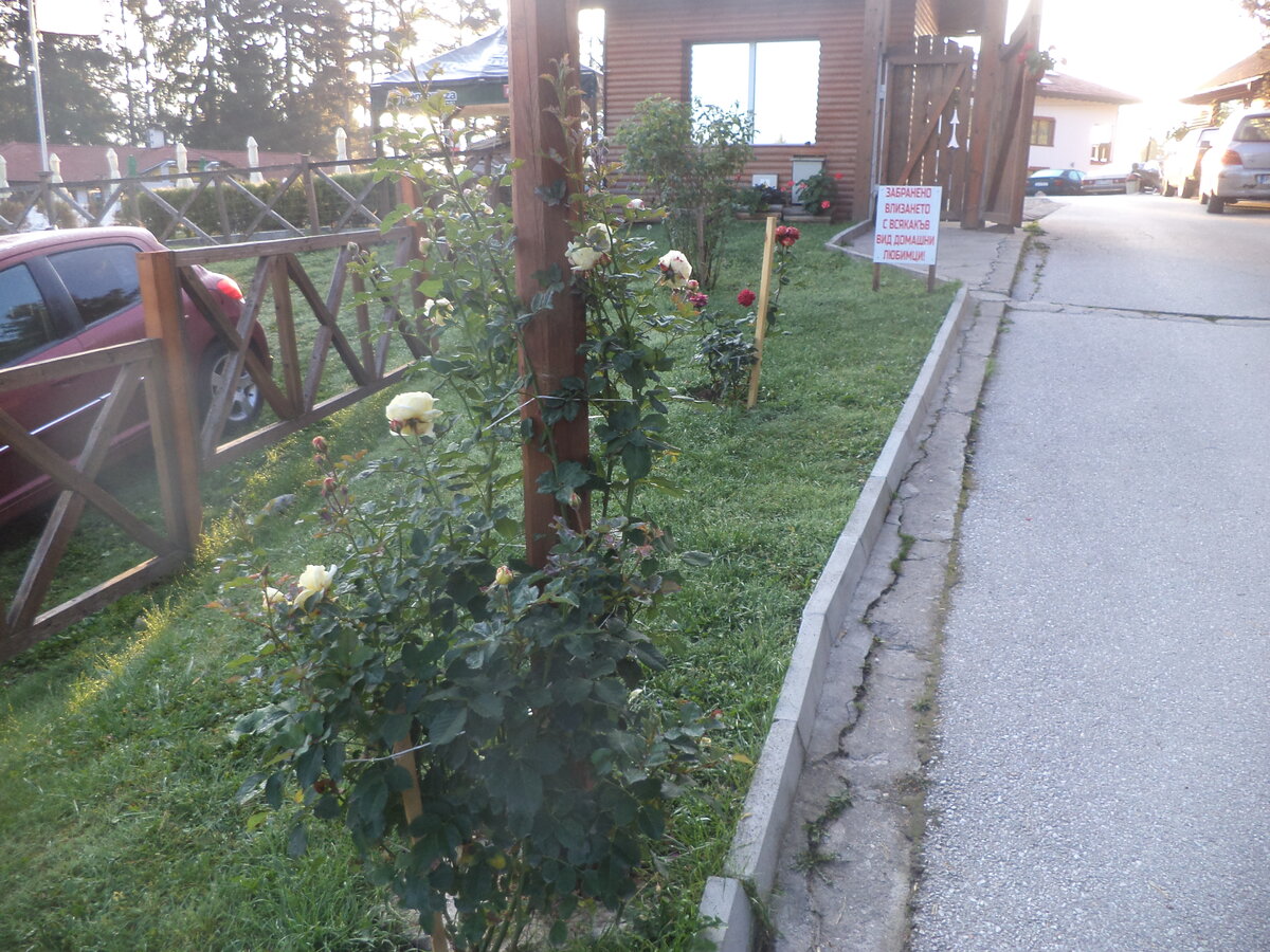DSC08921.JPG