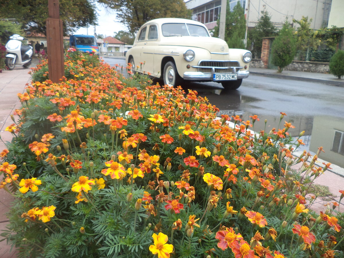 DSC08944.JPG