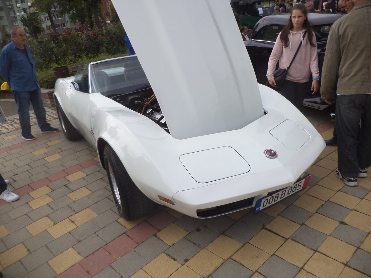 DSC09030.JPG