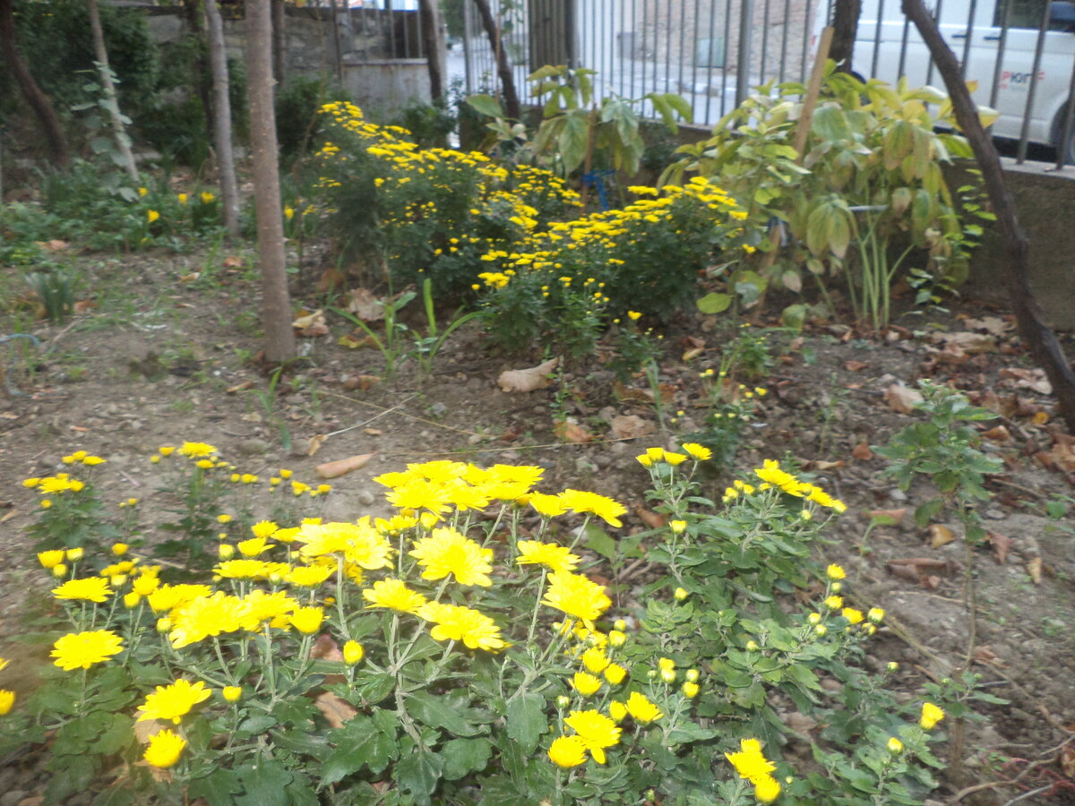 DSC09220.JPG