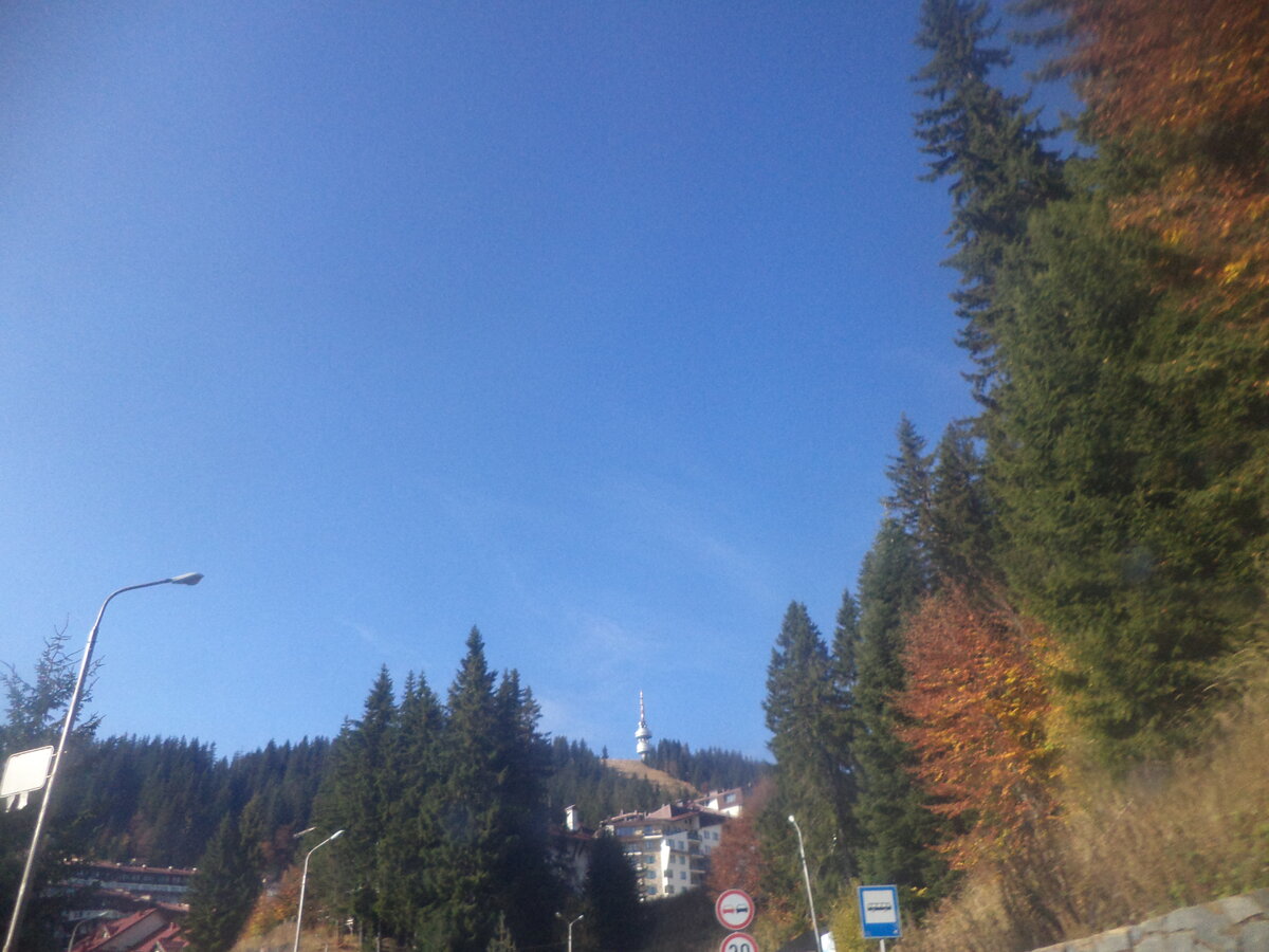 DSC09263.JPG