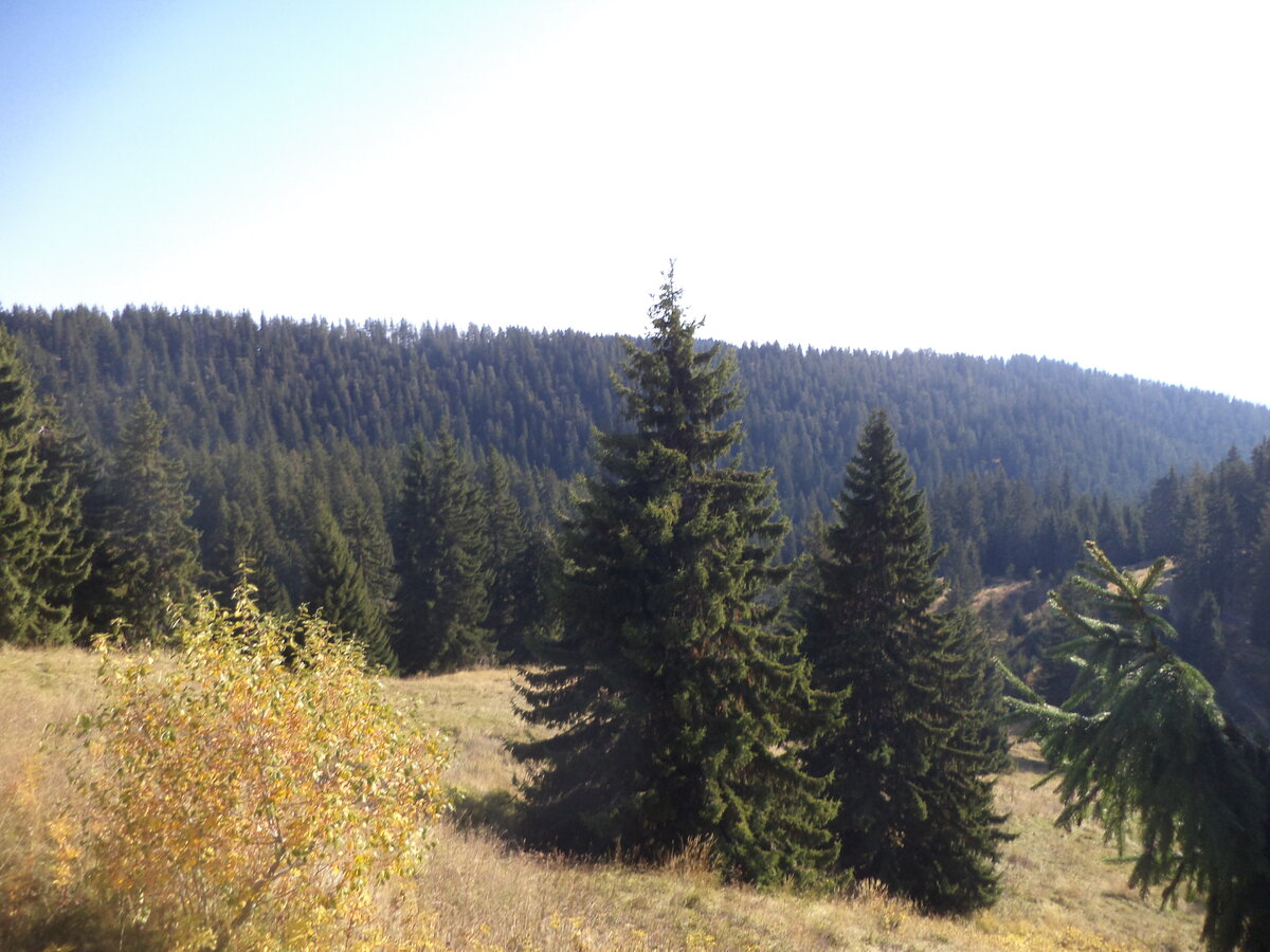 DSC09271.JPG