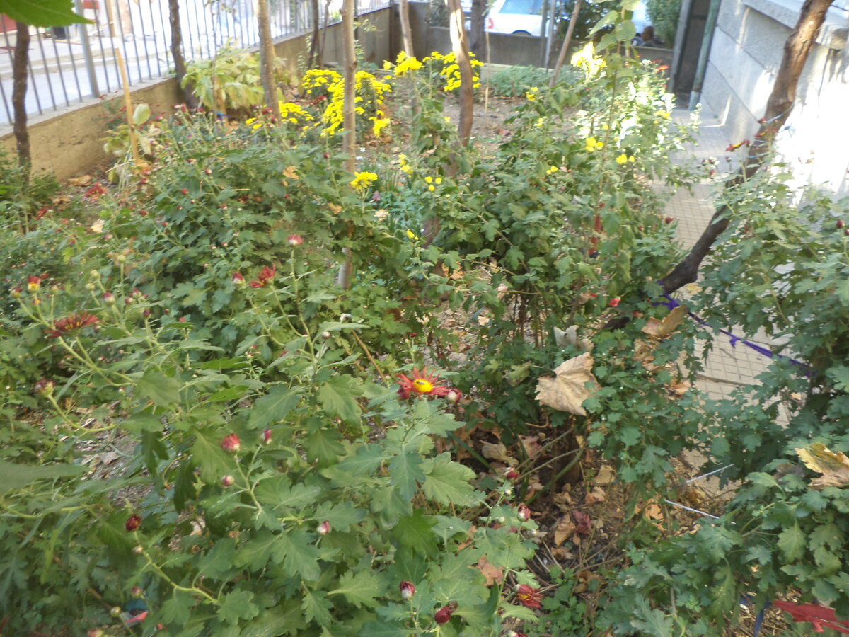 DSC09357.JPG