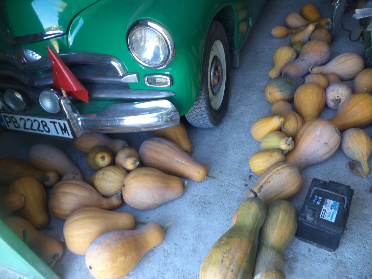 DSC09386.JPG