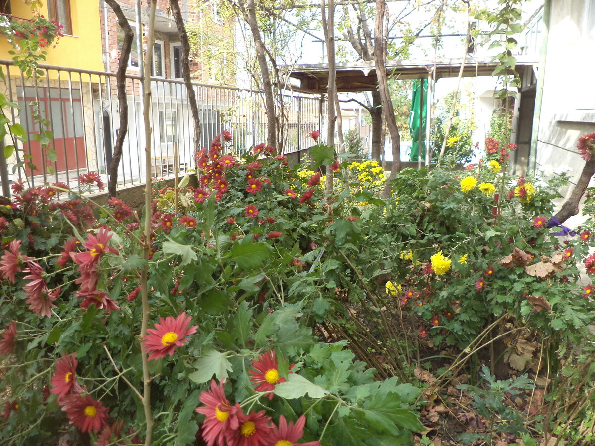 DSC09436.JPG
