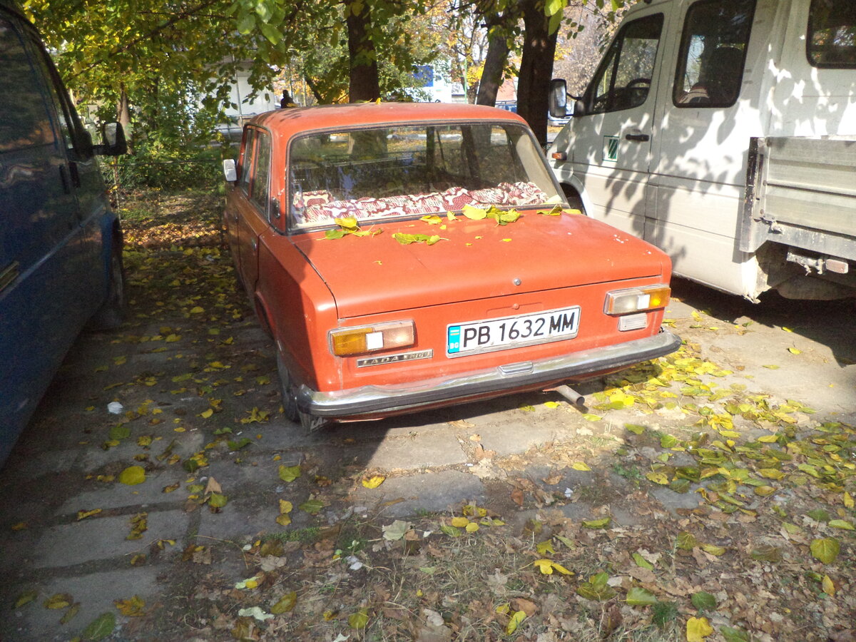 DSC09560.JPG