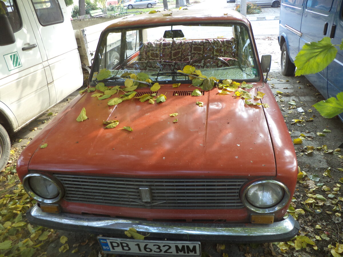 DSC09564.JPG