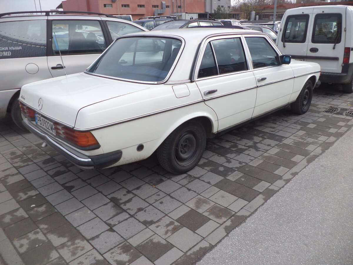 DSC09645.JPG