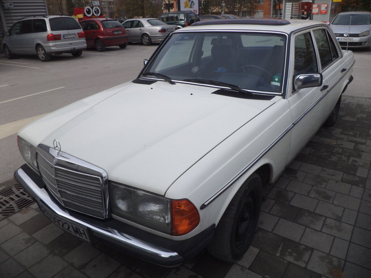DSC09647.JPG