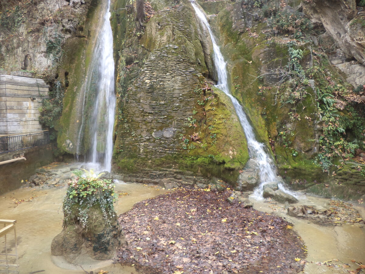 DSC09679.JPG