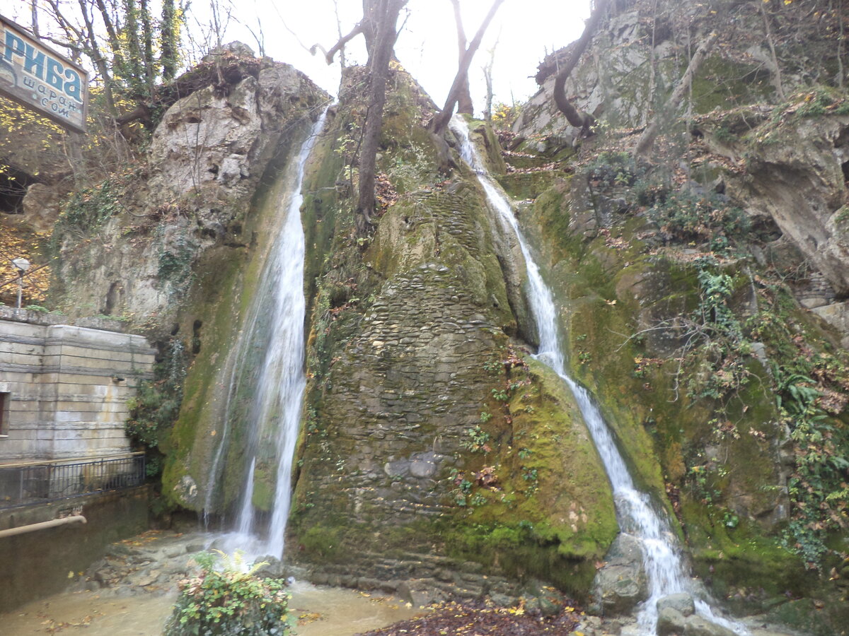 DSC09682.JPG