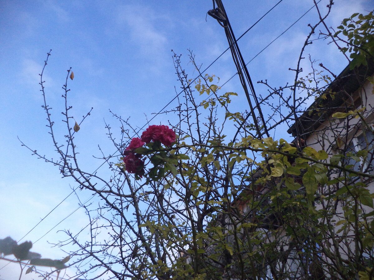 DSC09799.JPG