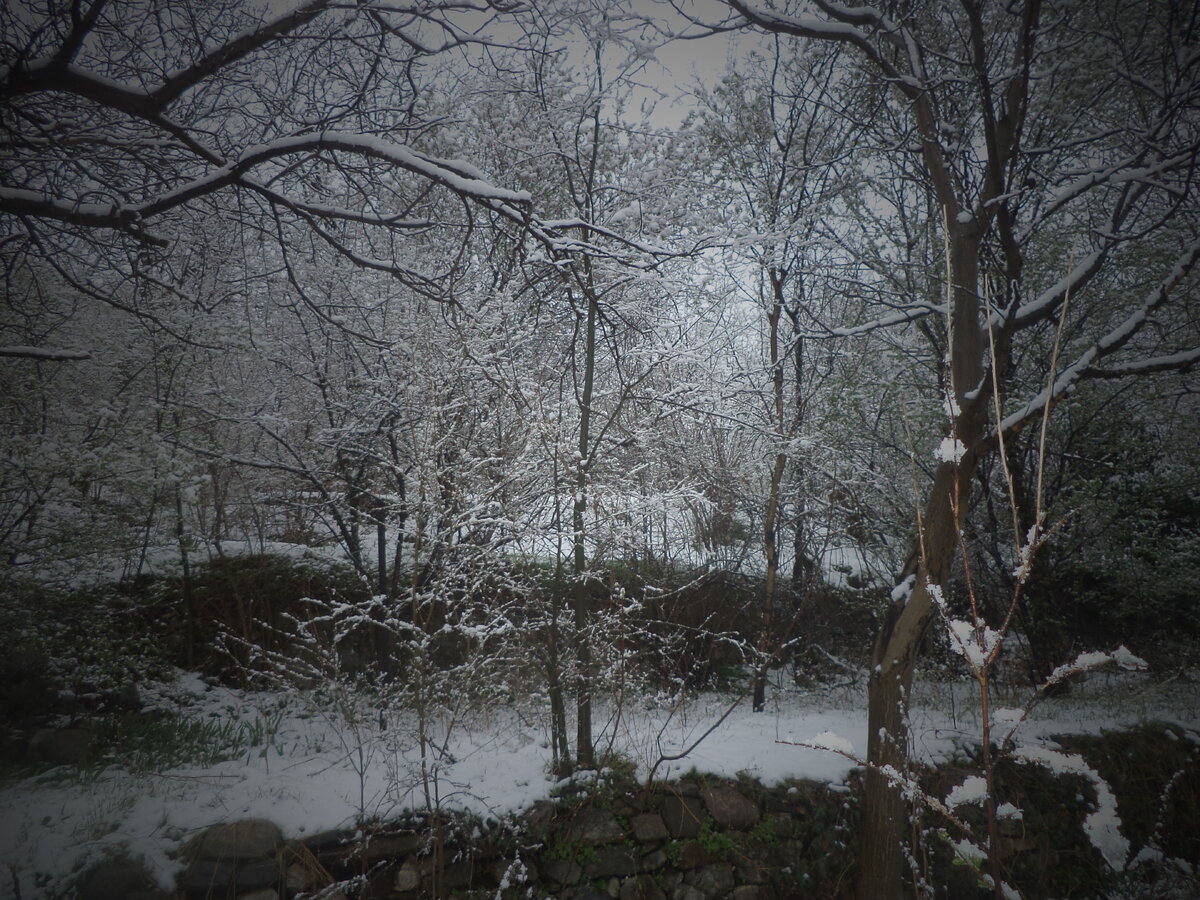 DSC09839.JPG