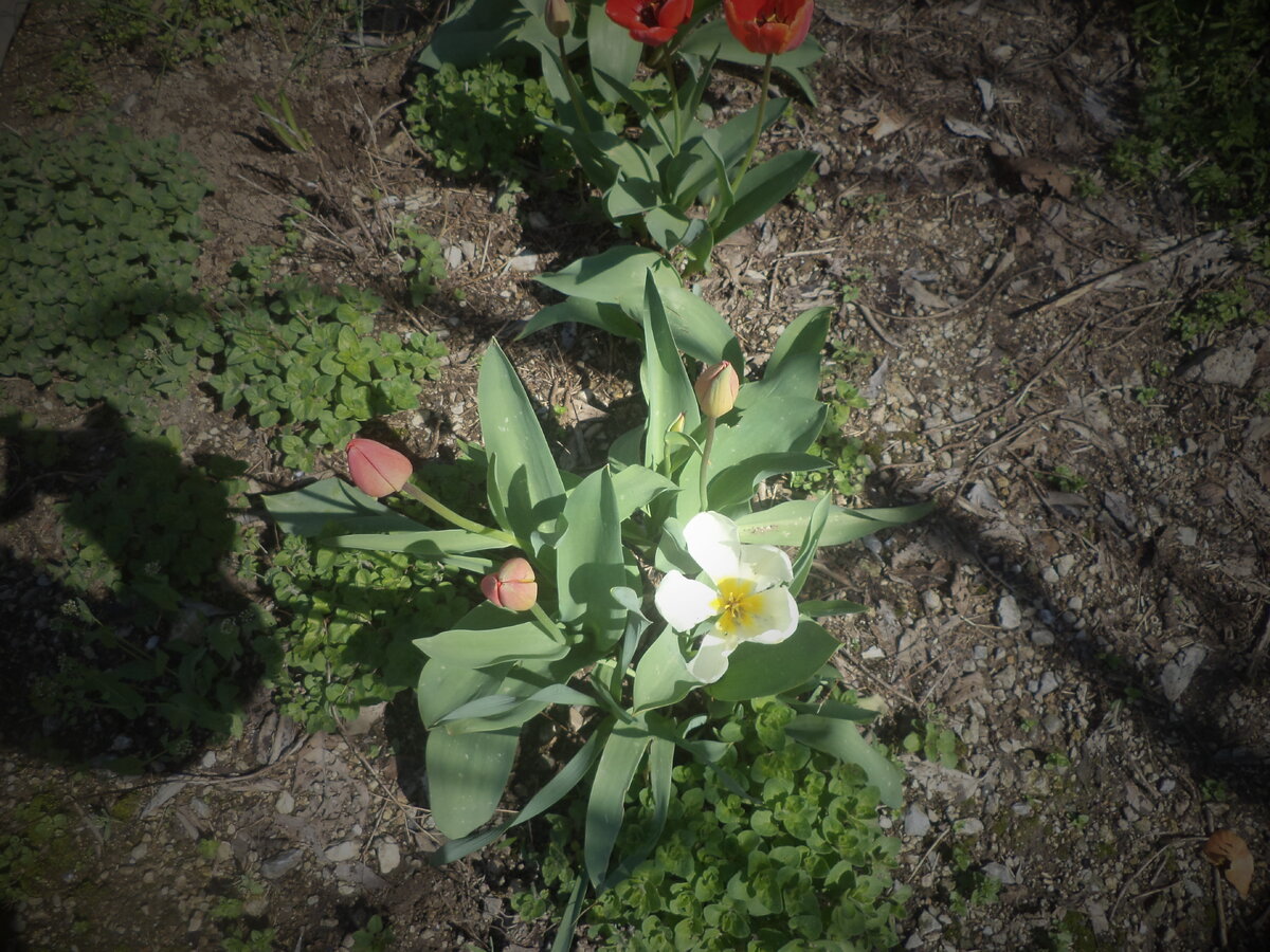DSC09860.JPG