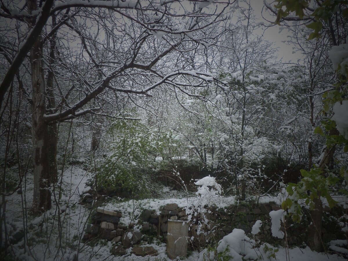 DSC09864.JPG