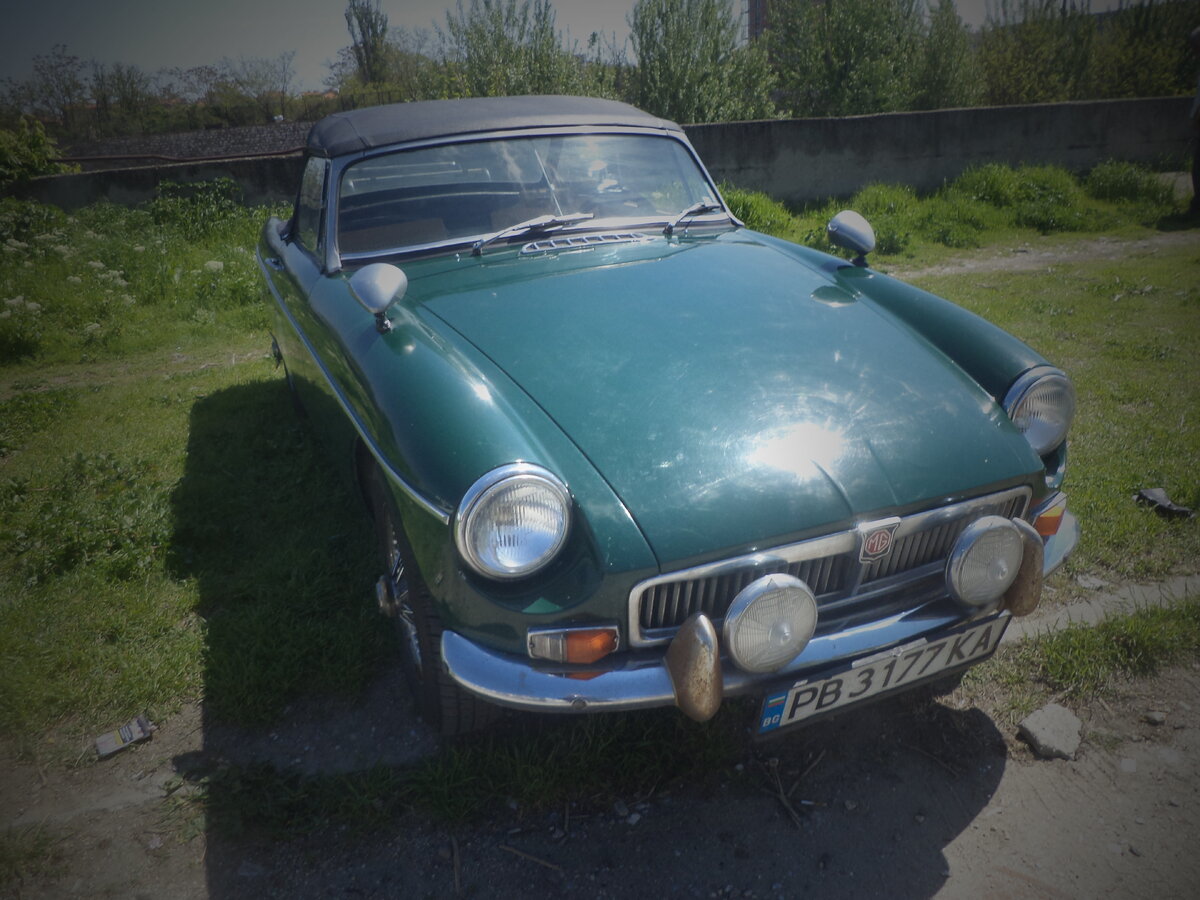 DSC09875.JPG