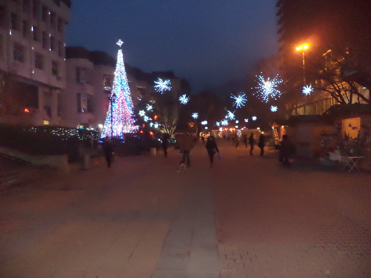DSC09879.JPG