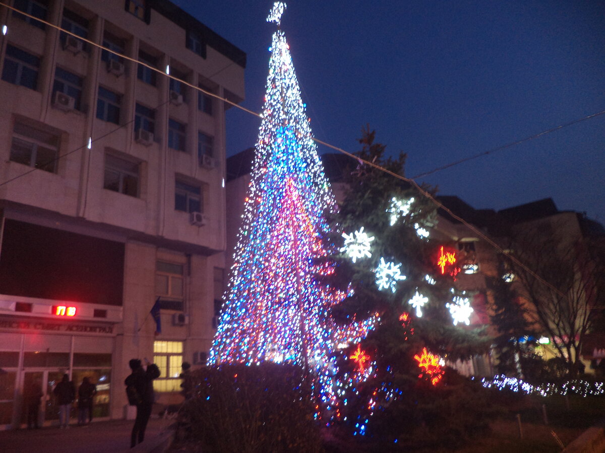 DSC09881.JPG
