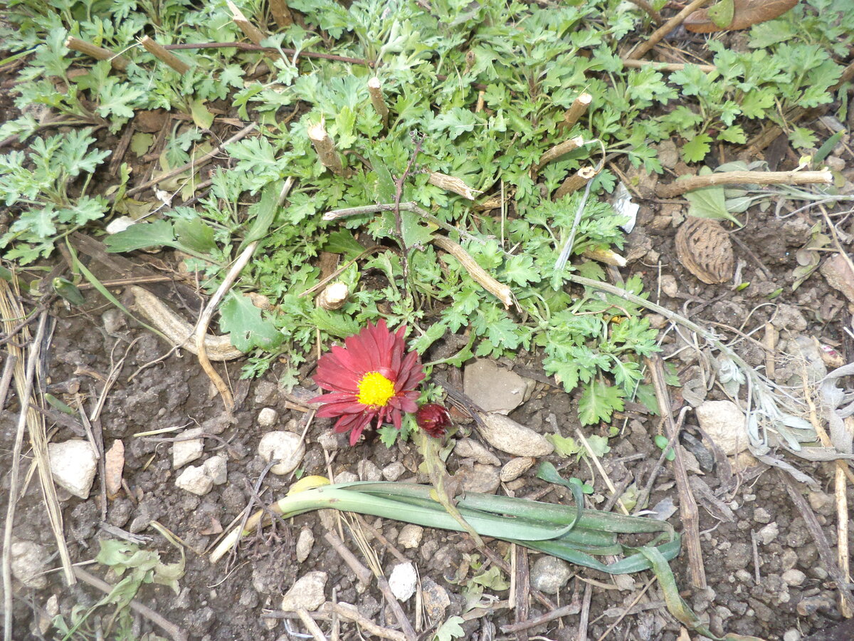 DSC09900.JPG