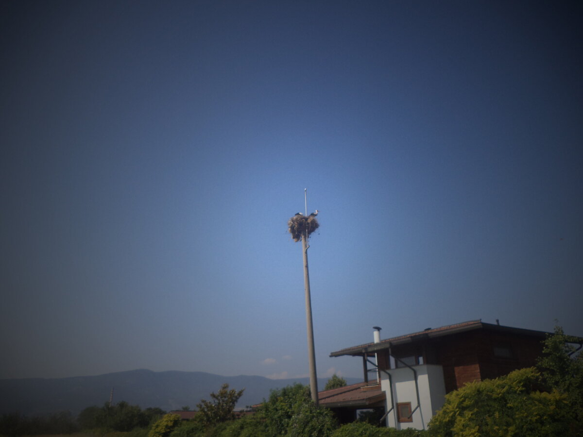DSC09994.JPG