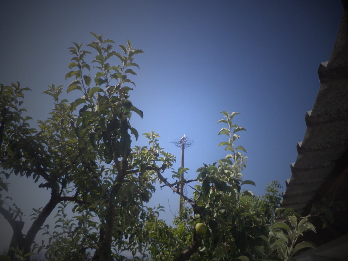 DSC09999.JPG