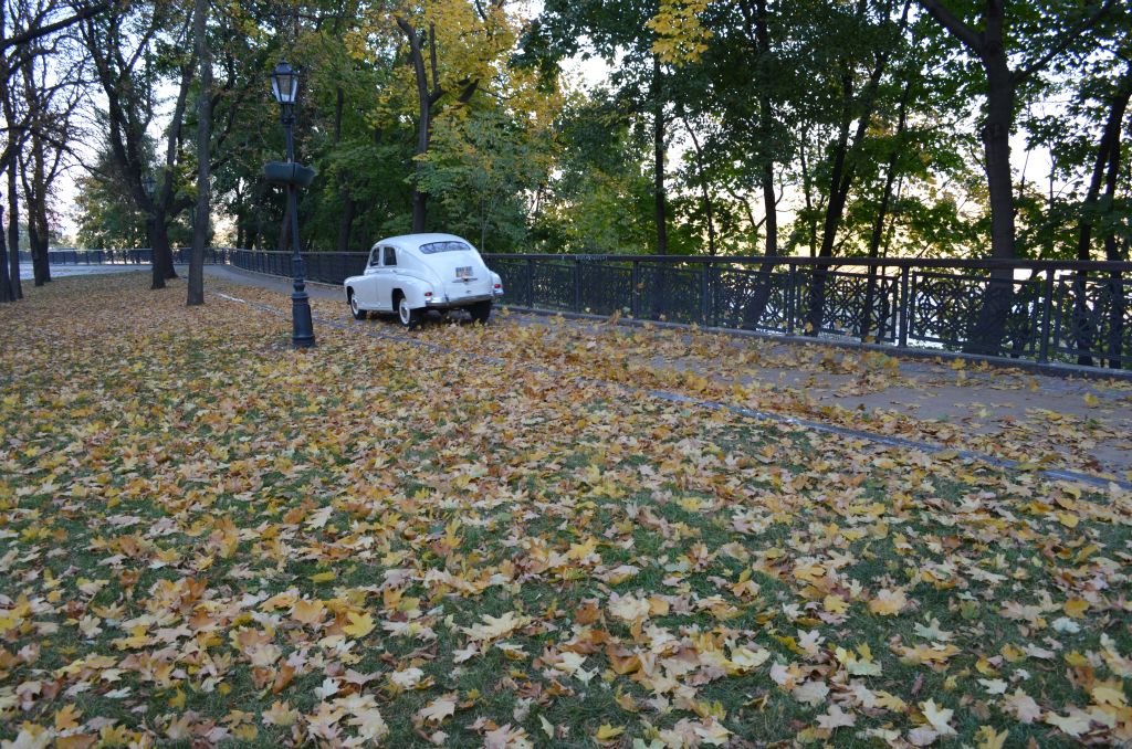 DSC_0898.JPG