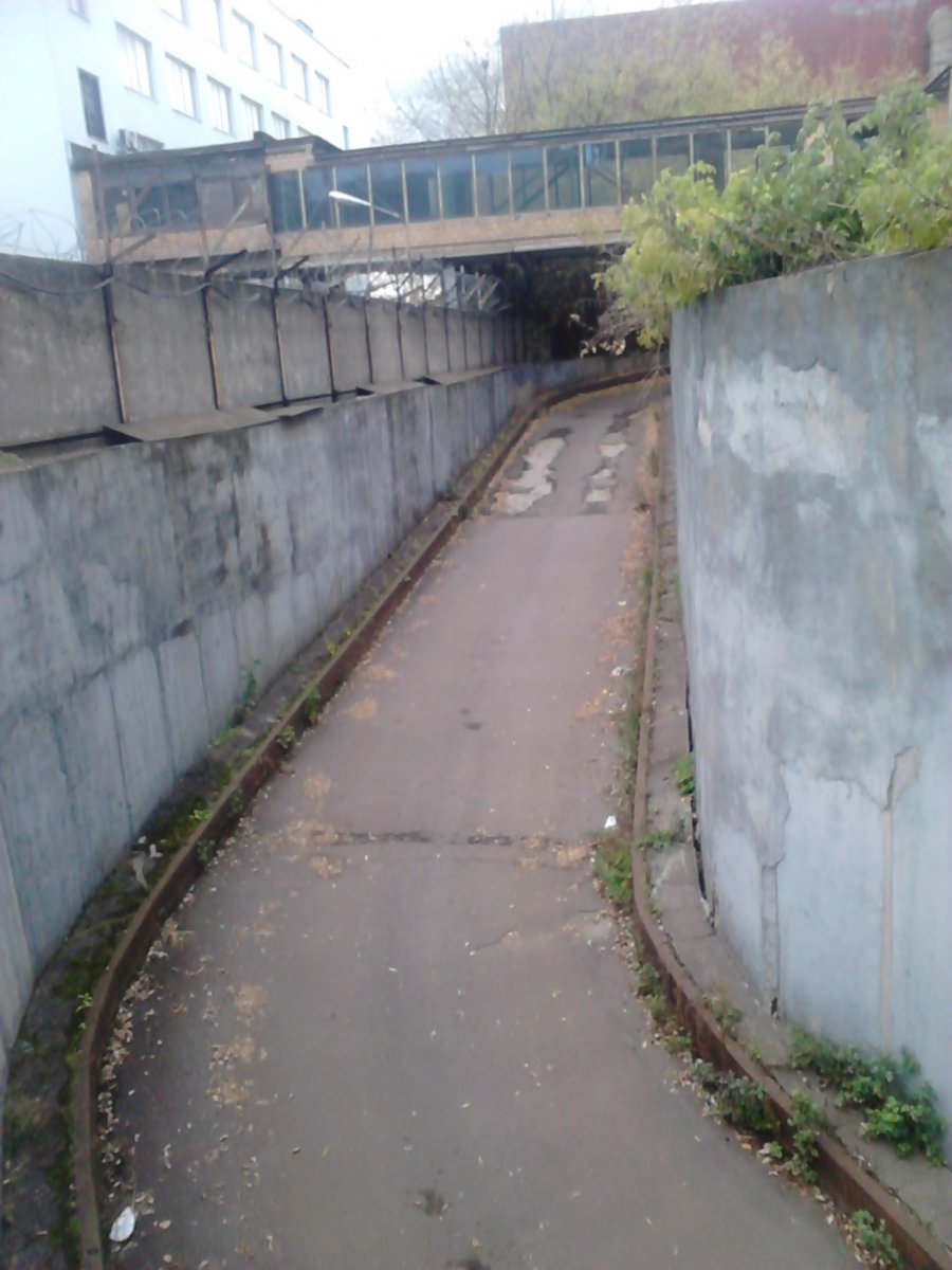 DSC_1173.jpg