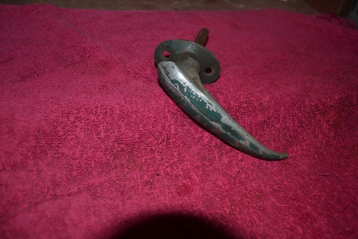 DSC_1725.JPG