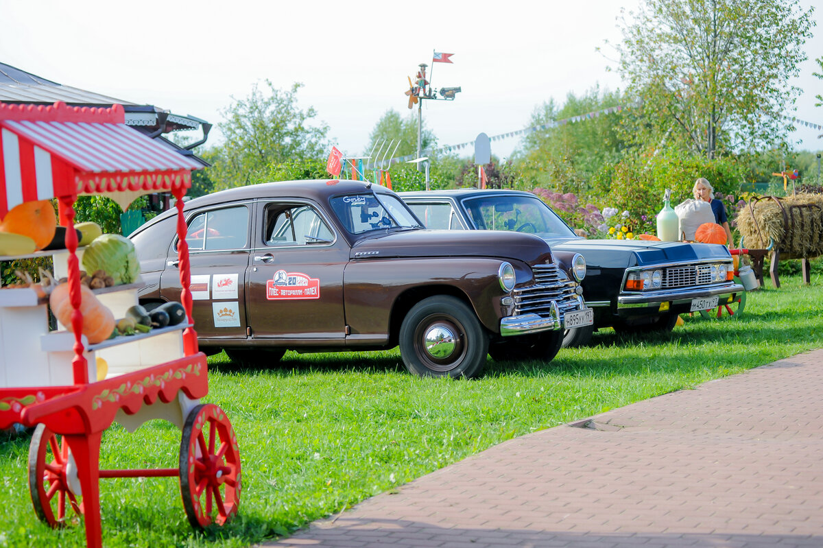 DSC_3768-2.jpg