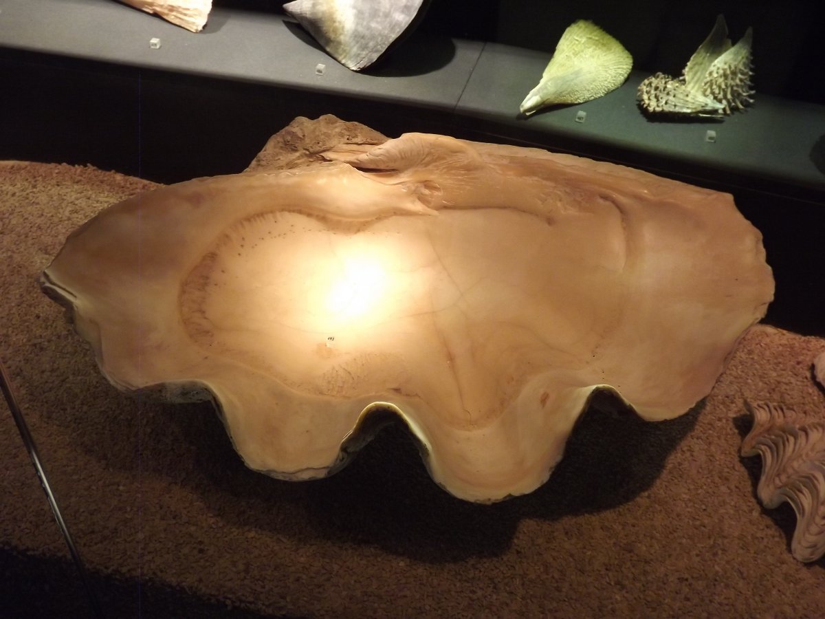 DSCF5277.JPG