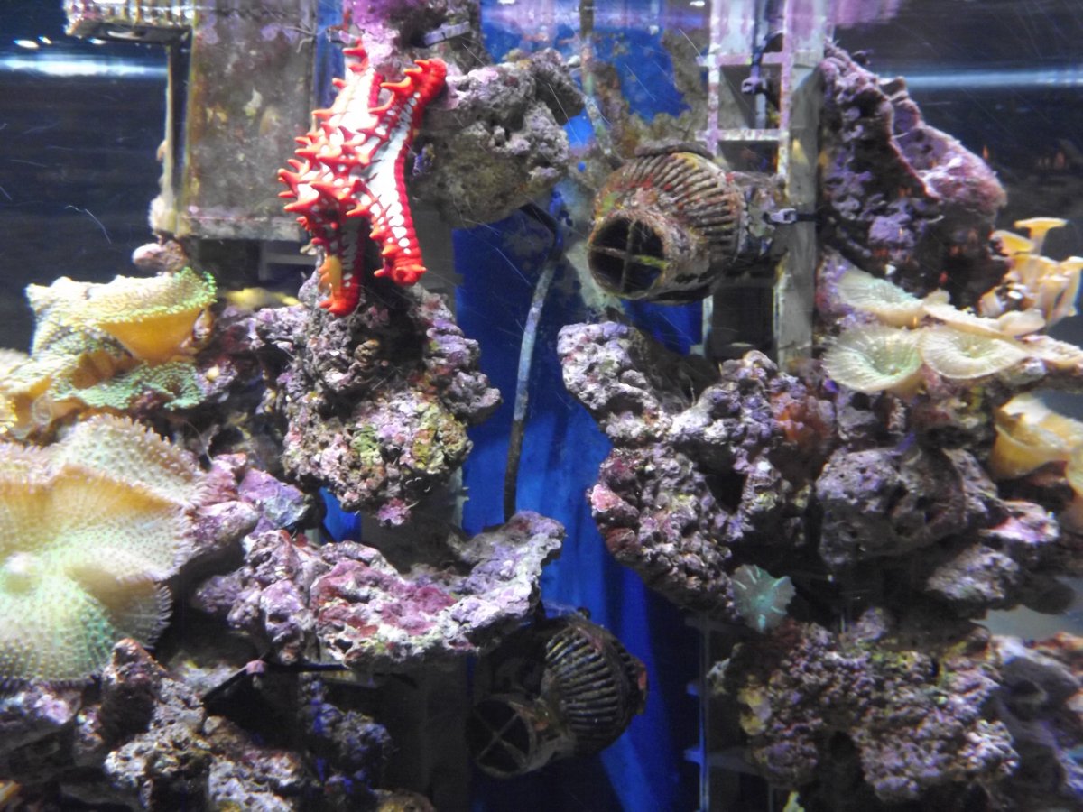 DSCF5280.JPG